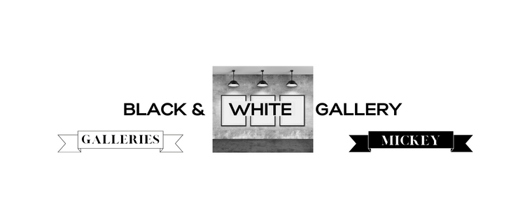 BLACK AYND WHITE GALLER